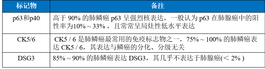 1635745762677632.png 肺癌3.png