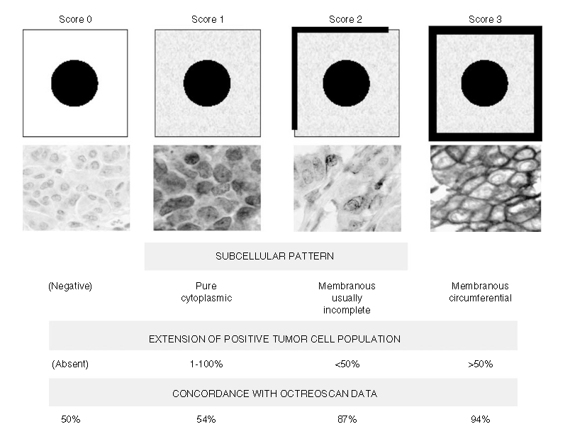 1635747846213323.png 生长抑素1.png